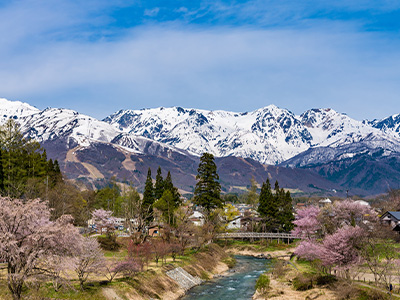 白馬 大出吊橋