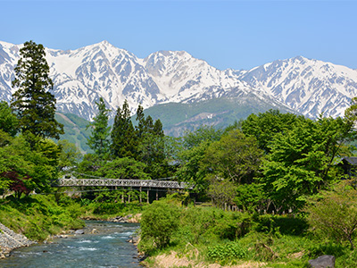 白馬 大出吊橋