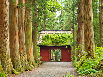 戸隠神社 奥社