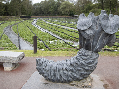 大王わさび農場 景観